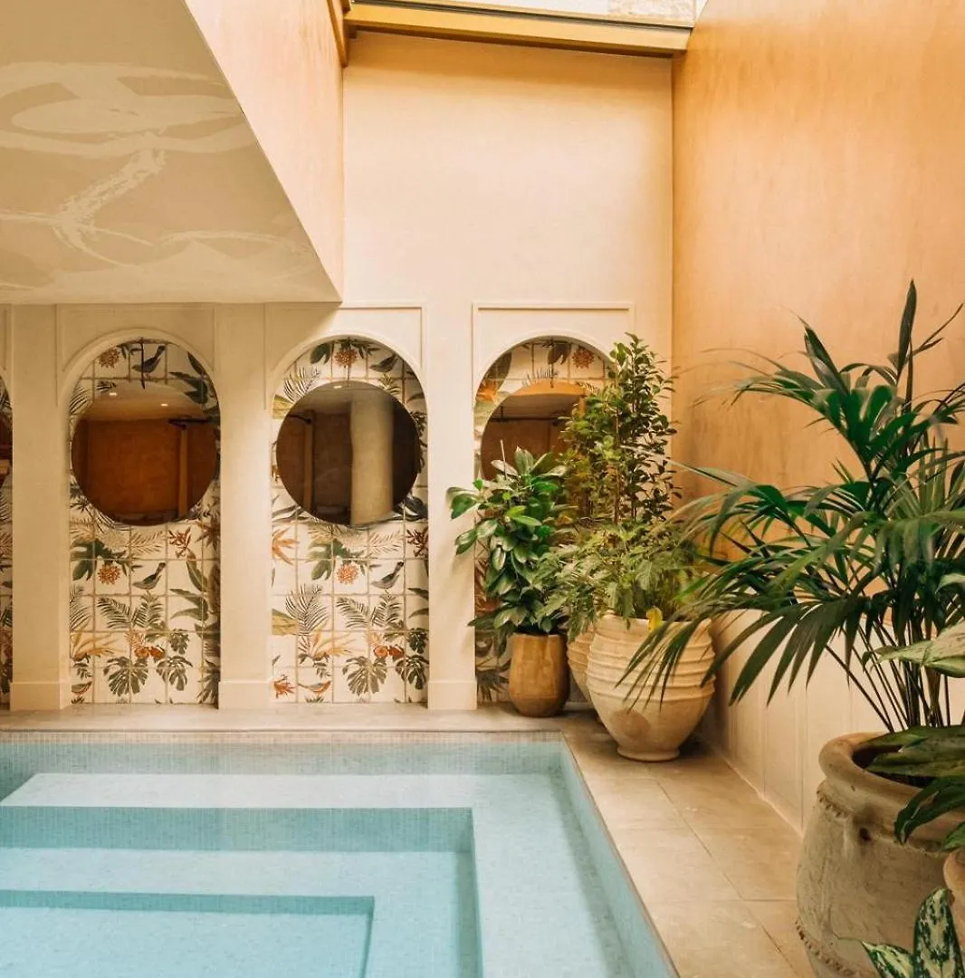 Bloom House & Paris