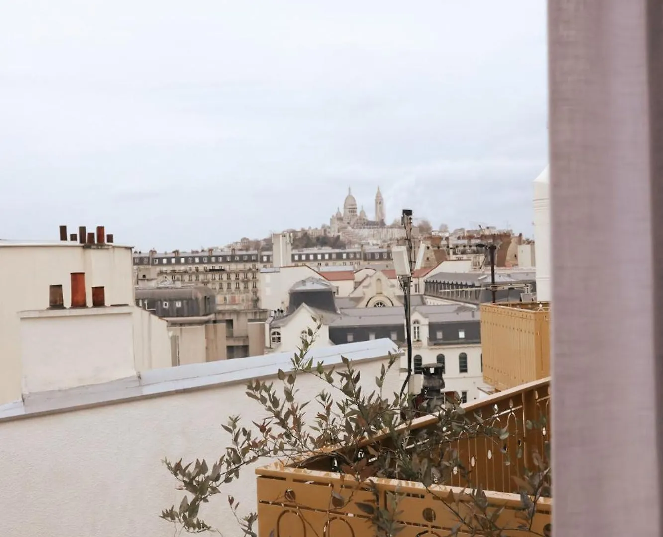 Bloom House & Paris