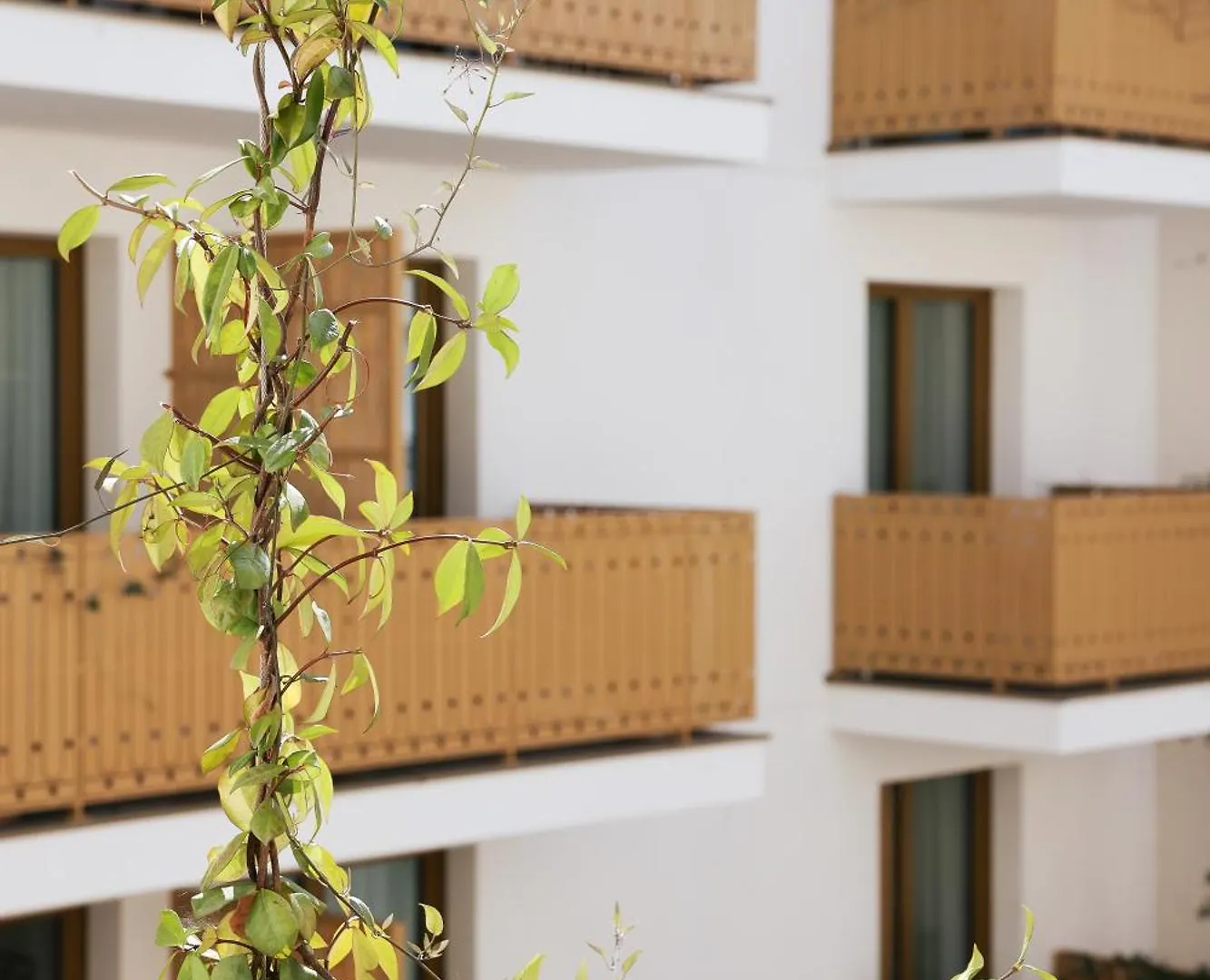 Bloom House &